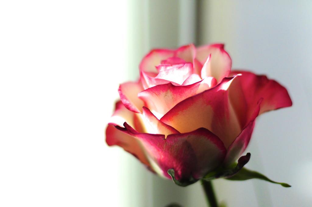 بروج B&B Val Des Roses المظهر الخارجي الصورة